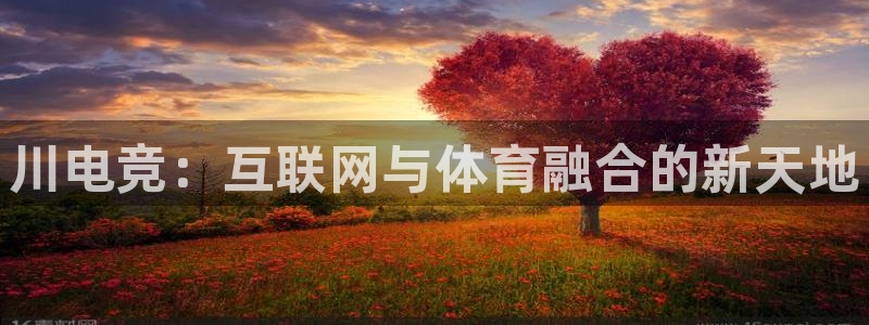 乐鱼电竞app下载