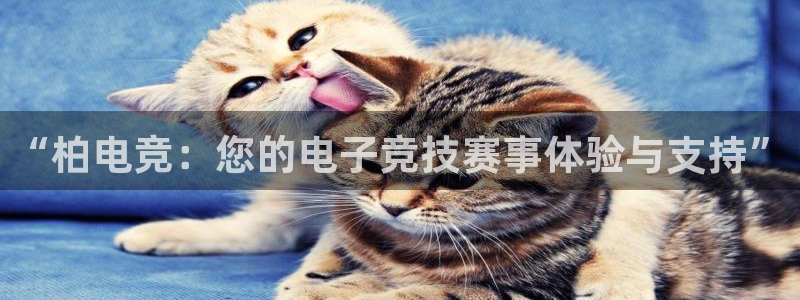 乐鱼电竞app下载：“柏电竞：您的电子竞技赛事体验与支持”