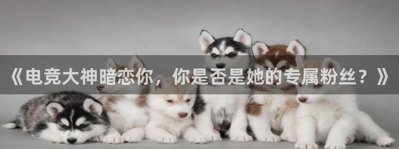 乐鱼电竞app：《电竞大神暗恋你，你是否是她的专属粉丝？》