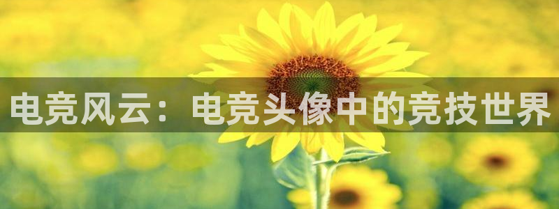 乐鱼电竞官网：电竞风云：电竞头像中的竞技世界