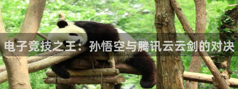 乐鱼电竞app下载：电子竞技之王：孙悟空与腾讯云云剑的对决