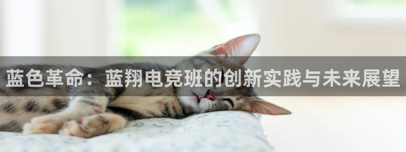 乐鱼电竞：蓝色革命：蓝翔电竞班的创新实践与未来展望