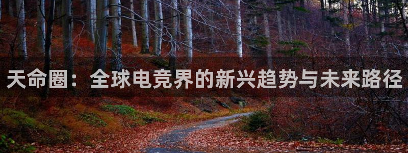 乐鱼电竞app下载：天命圈：全球电竞界的新兴趋势与未来路径