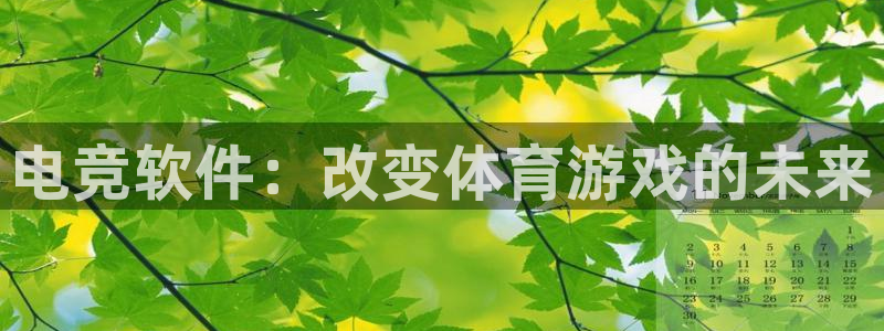 乐鱼电竞：电竞软件：改变体育游戏的未来