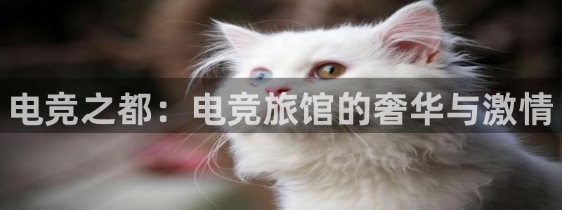 乐鱼电竞网站：电竞之都：电竞旅馆的奢华与激情