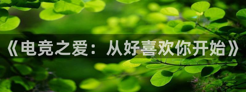 乐鱼电竞网站：《电竞之爱：从好喜欢你开始》
