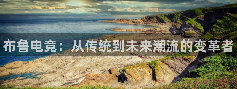 乐鱼电竞英雄联盟app官方：布鲁电竞：从传统到未来潮流的变革者