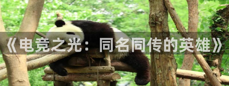 乐鱼电竞官网：《电竞之光：同名同传的英雄》