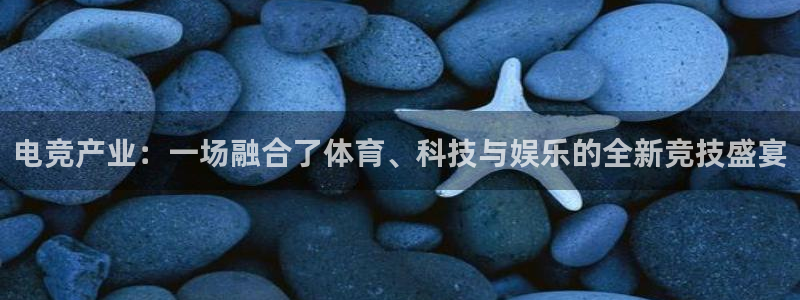 乐鱼电竞英雄联盟app官方：电竞产业：一场融合了体育、科技与娱乐的全新竞技盛宴