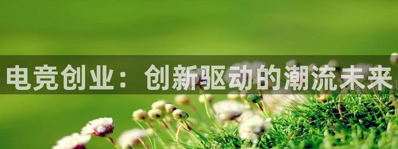 乐鱼电竞下载：电竞创业：创新驱动的潮流未来